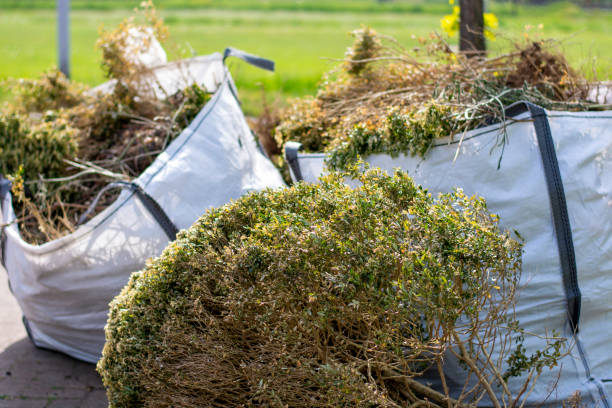 Best Affordable Junk Removal Services  in Biddeford, ME